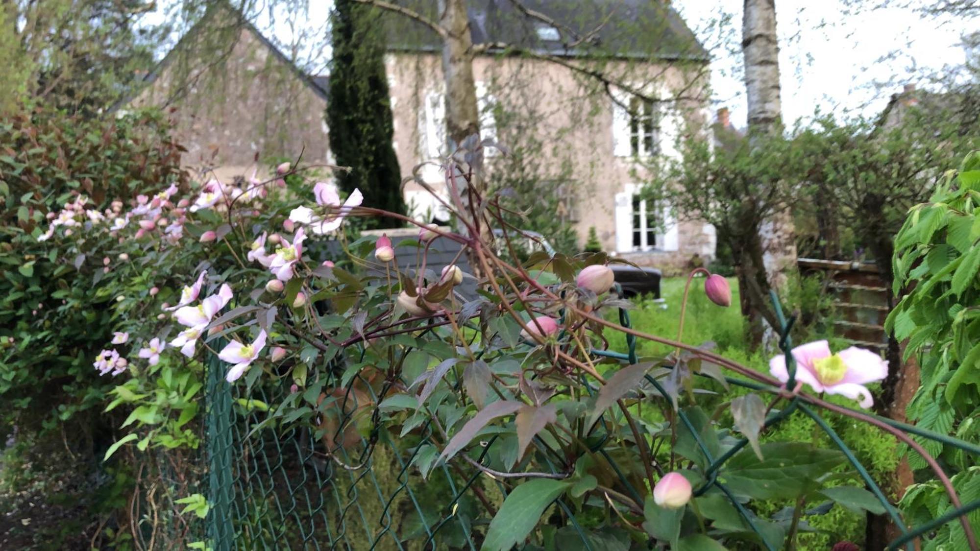 Bed and Breakfast La Thibautiere Blaison Екстер'єр фото